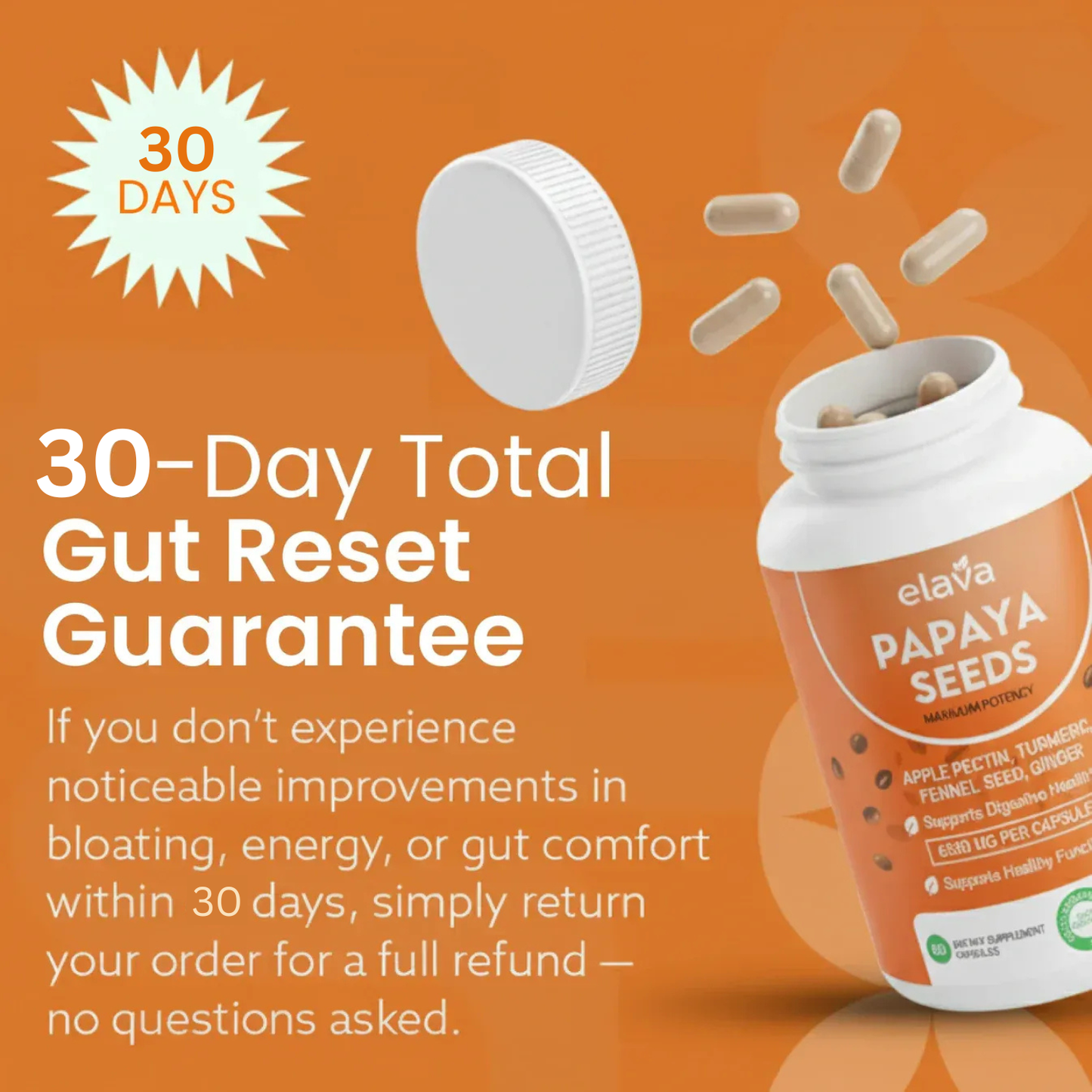 Elava™ Papaya Seeds – The Complete Gut Reset Formula