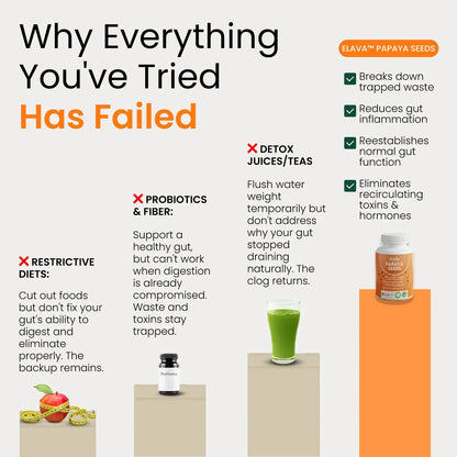 Elava™ Papaya Seeds – The Complete Gut Reset Formula